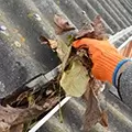 cleaning leaves and debris from domestic gutters